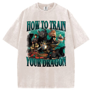 Vintage How To Train Your Dragon T-shirt/Sweatshirt